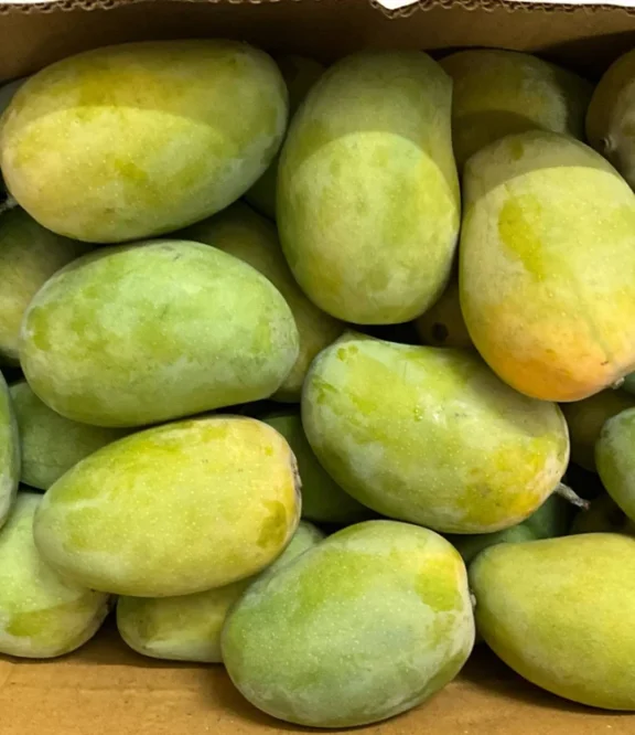 রাজশাহীর হিমসাগর আম, কার্বাইডমুক্ত
