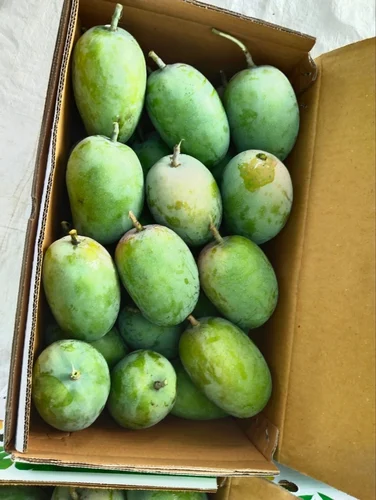 রাজশাহীর হিমসাগর আম, কার্বাইডমুক্ত
